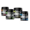 WARRIOR AMINO BLAST INTRA -WORKOUT BCAA  270g (30 Servings)